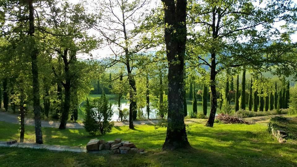 Holiday House Le Selvole Рада ин Шанти Номер фото